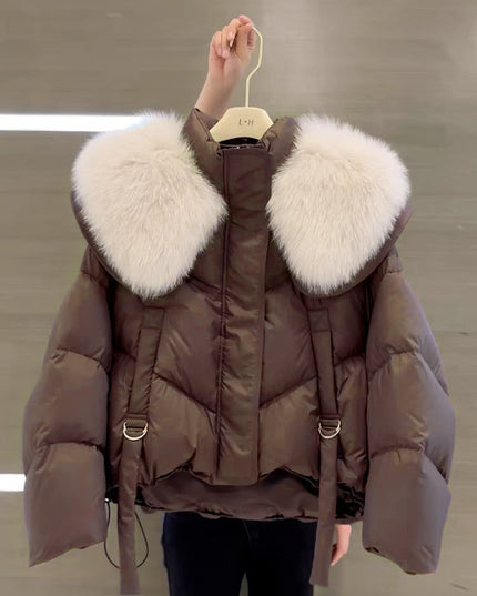 Demure Winter Black Cotton-padded Coat For Women