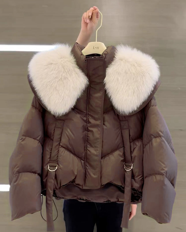 Demure Winter Black Cotton-padded Coat For Women