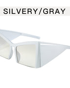Metal Hinge / Silver Frame Gradient Mercury