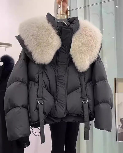 Demure Winter Black Cotton-padded Coat For Women