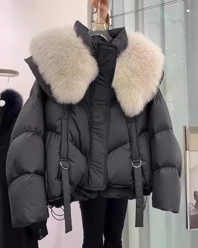 Demure Winter Black Cotton-padded Coat For Women