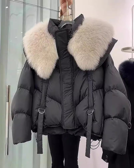 Demure Winter Black Cotton-padded Coat For Women