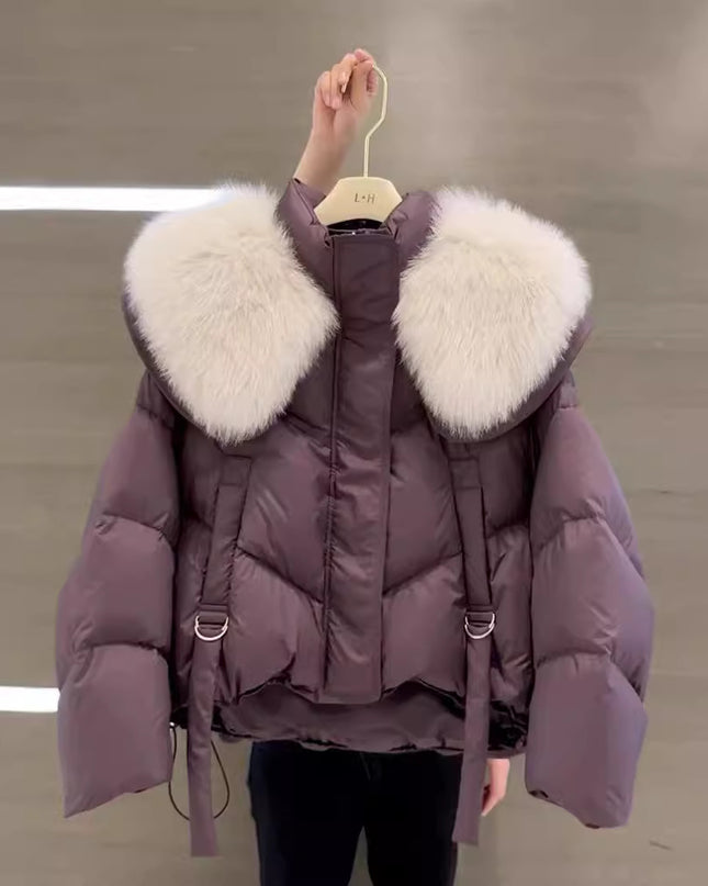 Demure Winter Black Cotton-padded Coat For Women