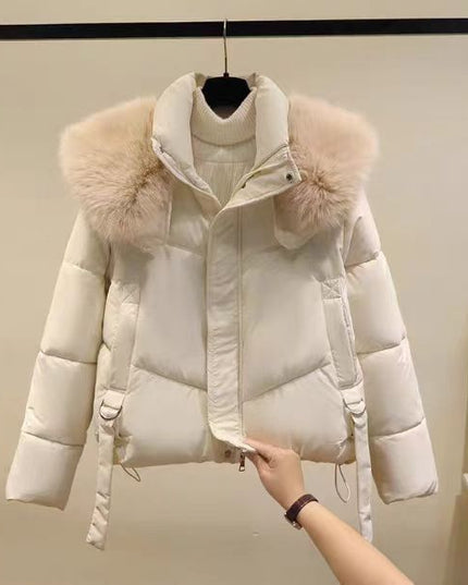 Demure Winter Black Cotton-padded Coat For Women